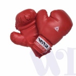 위턴 스포츠 복싱장갑 (8oz) 샌드백장갑 권투글러브 : 위턴