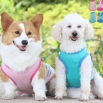 은비가 애견용품 쿨티 강아지 쿨조끼 8XL : 은비가