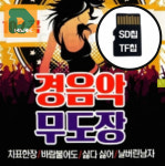 무도장 경음악SD 사교 댄스 춤 콜라텍 지루박 블루스 연주 차량 : 디마크스토어