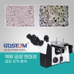 가축 인공 수정용 정자 현미경 확대기 전자 단일상품 실 A. 세 눈 전면 세트metax5z : 퍼플드림마켓