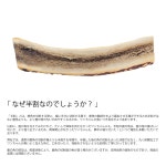 홀리캣 토끼털 공 고양이 장난감 천연모피 무색소 조용한설계 일본 Holycat : 요노란도