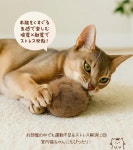 홀리캣 토끼털 공 고양이 장난감 천연모피 무색소 조용한설계 일본 Holycat : 요노란도