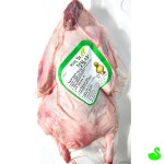 GS 청림 통오리 25호 2.3kg 청림오리 생오리 : 그린스완몰