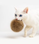 홀리캣 토끼털 공 고양이 장난감 천연모피 무색소 조용한설계 일본 Holycat : 요노란도