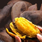 화산농협 해남 햇 꿀고구마 4kg(특상)[35608952] : NS홈쇼핑 TV홈쇼핑