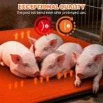 돼지 반려동물 파충류에게 적합한 프로샤인 온열 매트 : 워크웨이즈