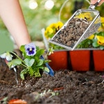 4개의 정원용 흙 체 손잡이가 있는 5인치 W자형 정원 체(2/2.8/3.8/5 메쉬) 모래 토양 퇴비를 그라데닝하기 위한 휴대용 : 워크웨이즈