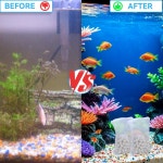 아쿠아클리어 피쉬 70 파워 필터 삽입 바이오맥스 대형 품종 흰색과 호환되는 수족관 필터용 FKBYM 280g 2봉지 A1373 70갤런 : 인피트샵