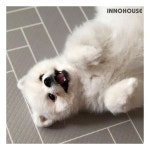 (행사) 이노하우스 프렌즈 애견매트 강아지매트 (중) : theOnga l 디온가