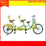 패밀리 바이크 3인승 사이클 관광용 레저 제주 투어용 공원 자전거 : 마리글로벌a
