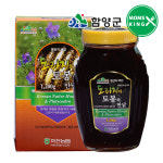 [함양군]함양군 지리산마천농협 도라지와 토봉의만남 도라지꿀 1.2kg : 현대Hmall