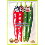 신청솔 300립 KS 26년 고추씨앗 : 제일농약사