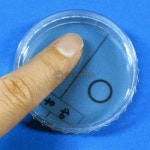 초등학교 손씻기 교육 손세정 세균 검사 과학 실험 발명심화 집중력 세특 놀이키트 : 오픈리빙1