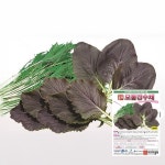 모둠경수채종자 2000립 혼합쌈채 주말농장 채소씨앗 텃밭종자(AS) : 두마리농산