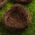 CAXUSD 새 둥지 장식 공예용 16Pcs 미니 인조 부활절 및 정원 새장 액세서리 : 미라클스페이스.