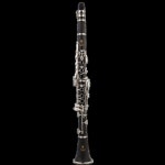 연습 입문용 클라리넷 초보 관악기 학생 연주 Bb 교육 레진 : 리빙퓨리