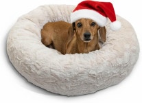 셰리의 베스트 프렌즈 오리지널 진정 도넛 강아지 침대 u2013... 세탁 가능한 푹신한 애완동물 최대 25파운드 럭스 Dark X-Small : 도토리수집소