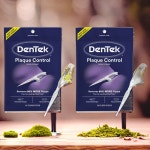 덴텍 치실케이스 치실사용 크로스 치실 2개 70mm 75개입 : 오케이라이딩