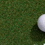 골프티 그린 투명 플라스틱 롱티 골프용품 티업 골프공 받침대 골프액세서리 : 우주마이하우스