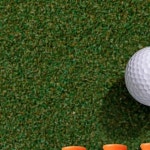 골프티 플라스틱 숏티 연습용 골프용품 티꽂이 골프장 라운딩 골프액세서리 : 우주마이하우스