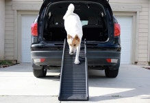 PawStep 50524 61인치 휴대용 접이식 반려동물 램프 검은색 Pet Ramp : 베이텐