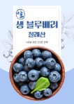 칠레산 생블루베리 특대 1.5kg : 혁이네사과농장