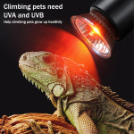 파충류 조명 램프 가금류 난방 전구 25-75W 110/200V 사육 절연 축산 새끼 돼지 베이킹 3.0 적외선 : 모모컴파니