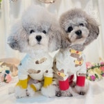 서지스토어 동물농장 올인원 강아지의상 반려견등원룩 애견유치원복 : 서지추천샵