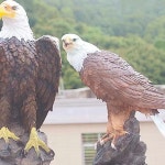 가짜 독수리 장식품 퇴치기 비둘기 까치 대형 새모형 피규어 : 팔복하우스