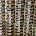 칠레산 생블루베리 특대 1.5kg : 혁이네사과농장