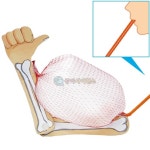 초등학교 6학년 과학 팔 뼈 알통 근육모형 만들기 5인 아기선물용 실험기자재 세특 : 운동맨야