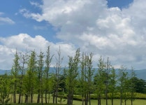 함양 스카이뷰 CC 1박2일 패키지# 해발700m #좁은 페어웨이 설계 : Golf Story