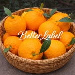 제주 한라봉 3kg 고당도 선별 산직 직송 선물용 가정용 : Better Label