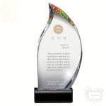 감사패 불꽃 SWA56 크리스탈 공로패 효도패 시상용 상패 1개입 : 나야나샵