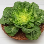 산지직송 국내산 생 봄동 400g 봄배추 단배추 1kg 겉절이 배추 : 당찬웰빙