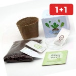 식물키우기 틔움 팜팜농장 모종 키우기 : JH복이오네