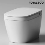 로얄 RB7000 블로이 일체형 비데 IPX5 자동물내림 살균수 유광 도기 비데 : 욕바스