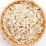 신선한 새벽 무말랭이 꼬들꼬들 달큰한 국내산 무우말랭이 500g, 1개 : 해들팜스