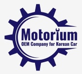 MOTORLIUM 정품 OEM 92800-A5000-TX 오버헤드 콘솔 램프 / 현대 엘란트라 13-17용 92800A5000TX : 노트바이2