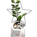 꼬미얌 넝쿨 프레임 몬스테라지지대 꽃지지대 화분프레임 식물고정대 넝쿨지주대 화초지주대 : 꼬미얌