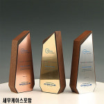 WDTP - EL-5230 나무에칭 상패 세무케이스포함 : 스매싱스포츠