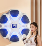 홈트 복싱기계 실내 샌드백 블루투스 복싱 유산소 운동 화이트 : 쇼핑올라운드