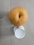 지팜 고당도 나주배 3kg,5kg : 지팜마트