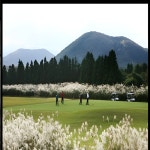 제주도 에코랜드CC 골프패키지 1박2일 36홀 : 국내해외골프부킹닥