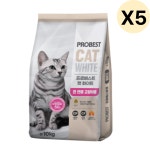 프로베스트 캣 화이트 건식 사료 작은입자 10kg 5개 : 밥도둑마켓