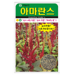 아람 아마란스 씨앗 4000립 : 농세권