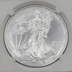 미국 2011년 이글 은화 99.9% 31.1g 40mm NGC 69등급 초기발행본 미국조폐국 판매번호 외192 : 금두리