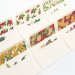 스토어-하유 플라워 패턴 카드세트 B형 감사카드세트 : 스토어-하유