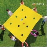 브레인숲 캐치볼스퀘어 유치원 어린이집 학교 학원 교습 교구 단체 창의력 : 마켓디에이알