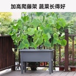 베란다 플라스틱 화분 높은 화단 대형 텃밭화분 인테리어 : 다온 픽